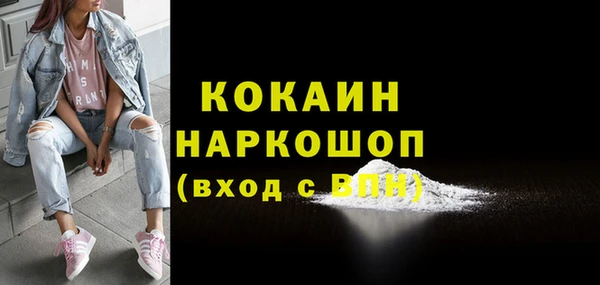 шишки Белоозёрский