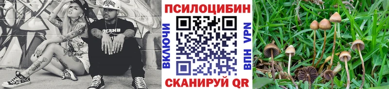 гидра маркетплейс  Уссурийск  Галлюциногенные грибы мицелий 